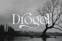Drogel | Display Serif Font