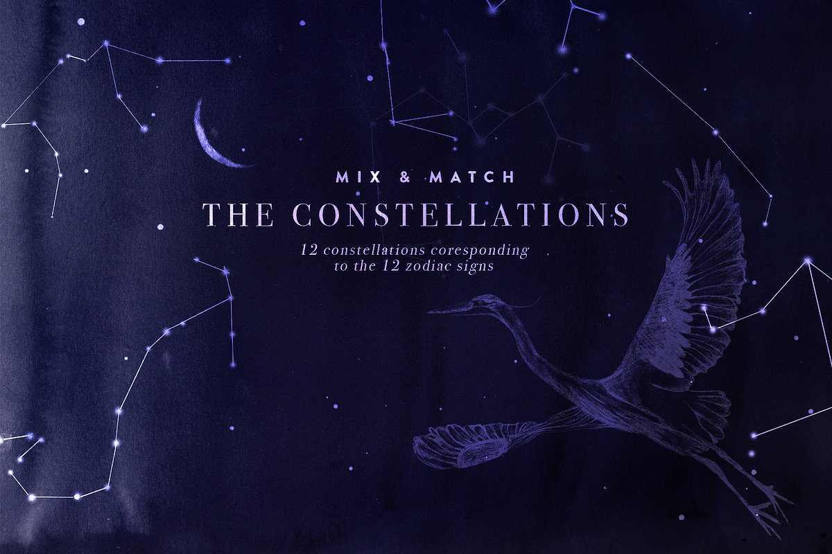 Starcrossed - Starry Design Set, an Object Graphic by Isabelle Salem (Photo 8 of 13)