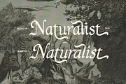 Mythgrove Medieval Display Font, a Serif Font by Letterhend Studio (Thumbnail 6 of 9)