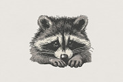 Cute Raccoon PNG, Hand-Drawn Animal, an Illustration by SharpMarketplace (Thumbnail 1 of 3)