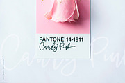 BetterFly - for Canva & Templett, a Script Font by Blessed Print (Thumbnail 30 of 46)