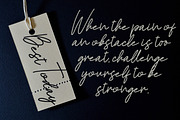 Francos Signature - Stylish Monoline, a Script Font by skiiller studio (Thumbnail 2 of 8)