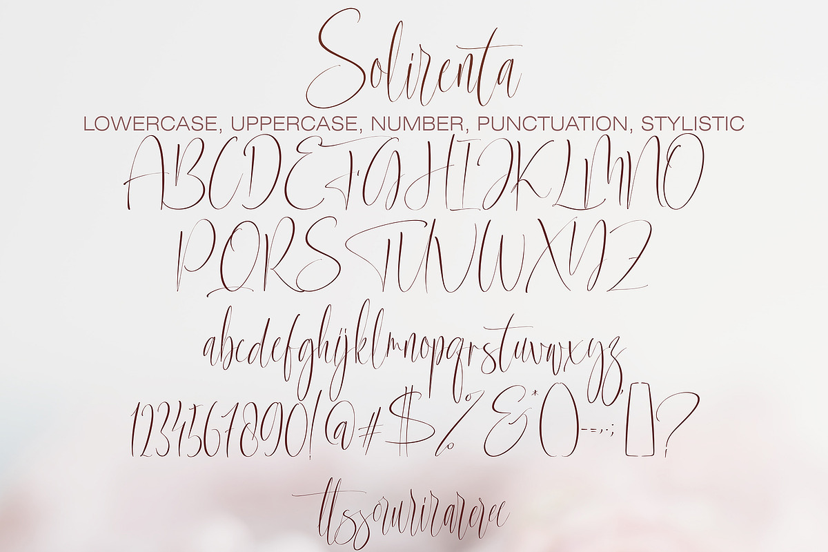 Solirenta Internal, a Script Font by pineungtype (Photo 10 of 10)
