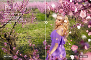 PINK Rose Petals photo overlays, an Object Graphic by 2SUNS (Thumbnail 5 of 9)