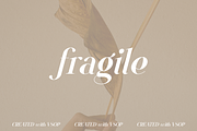 VSOP - elegant serif, 70 fonts, a Serif Font by VP Fonts (Thumbnail 10 of 21)