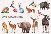 Forest Animals watercolor., an Animal Illustration by lilisavelieva (Thumbnail 2 of 6)
