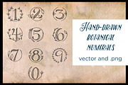 Botanical Monograms Vector, PNG, OTF, an Illustration by MyNatureGraphics (Thumbnail 4 of 4)