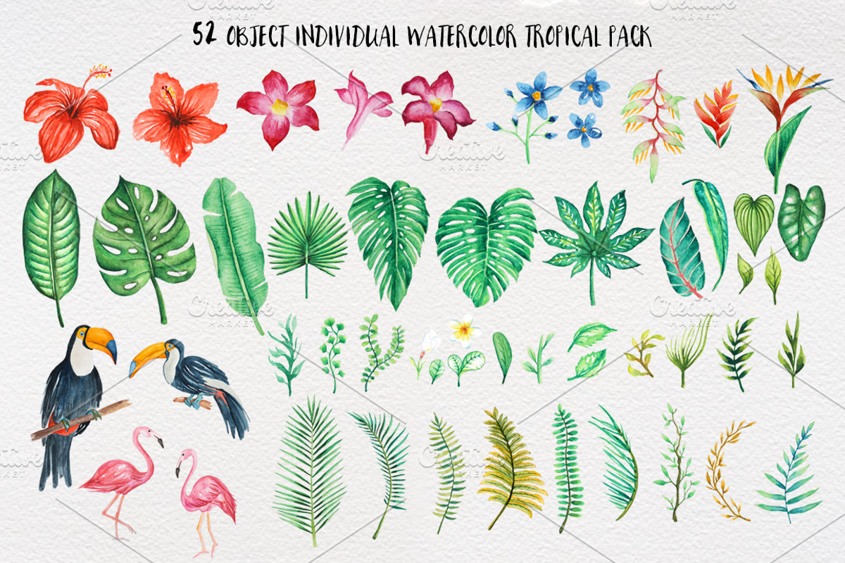 TROPICAL Watercolor clip art pack, an Illustration by andypray (Photo 4 of 9)