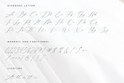 Flavinda Wedding Calligraphy Font, a Script Font by RantautypeStudio (Thumbnail 13 of 16)