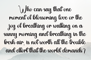 Sunday | Script Font, a Handwritten Font by Scratchones (Thumbnail 6 of 8)