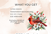Red Cardinal Clipart,, an Animal Illustration by Anca Digital Vibe (Thumbnail 2 of 6)