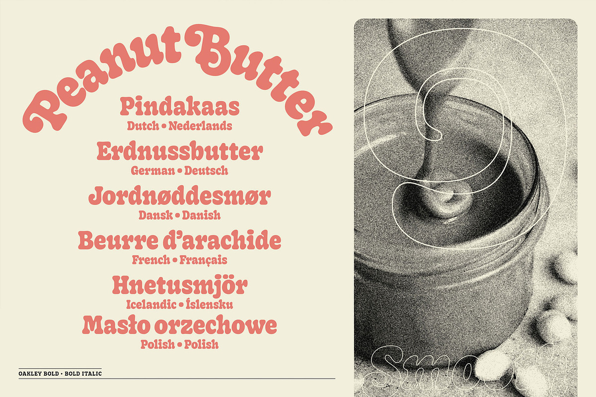 Oakley Typeface, a Serif Font by Mark van Leeuwen (Photo 8 of 10)