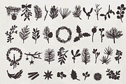 Winter Botanicals Clipart, a Seasonal Illustration by RaDavCrafts (Thumbnail 5 of 12)