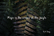 Jungle Display Font, a Script Font by Nadezda (Thumbnail 7 of 8)