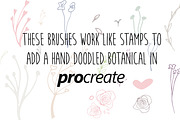 Dainty Doodled Botanicals, a Brush Add-On by Nancy Ingersoll (Thumbnail 4 of 6)