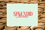 Luminense Font Duo, a Script Font by Letter Fresh (Thumbnail 3 of 10)