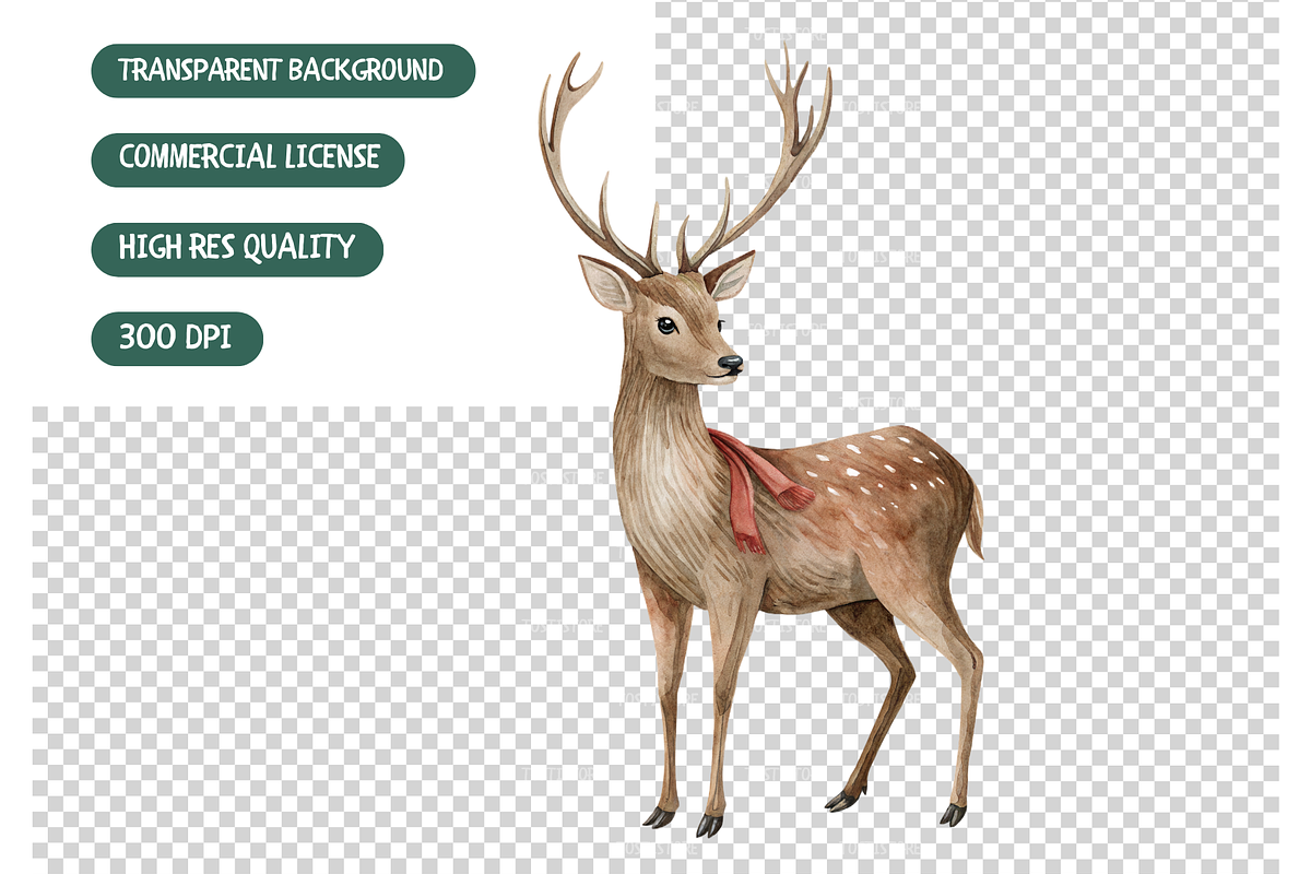 Forest Deer Watercolor Clipart, an Illustration by TatiMockup (Photo 5 of 5)