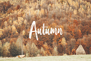Autumn  with colorful forest, a Nature Photo by Three Design (Thumbnail 1 of 2)