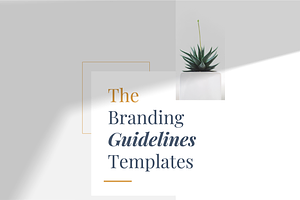 INTZA - Luxury Keynote Guidelines