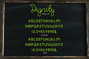 Dignity Cursive + Bonus, a Script Font by TSV Creative (Thumbnail 8 of 12)
