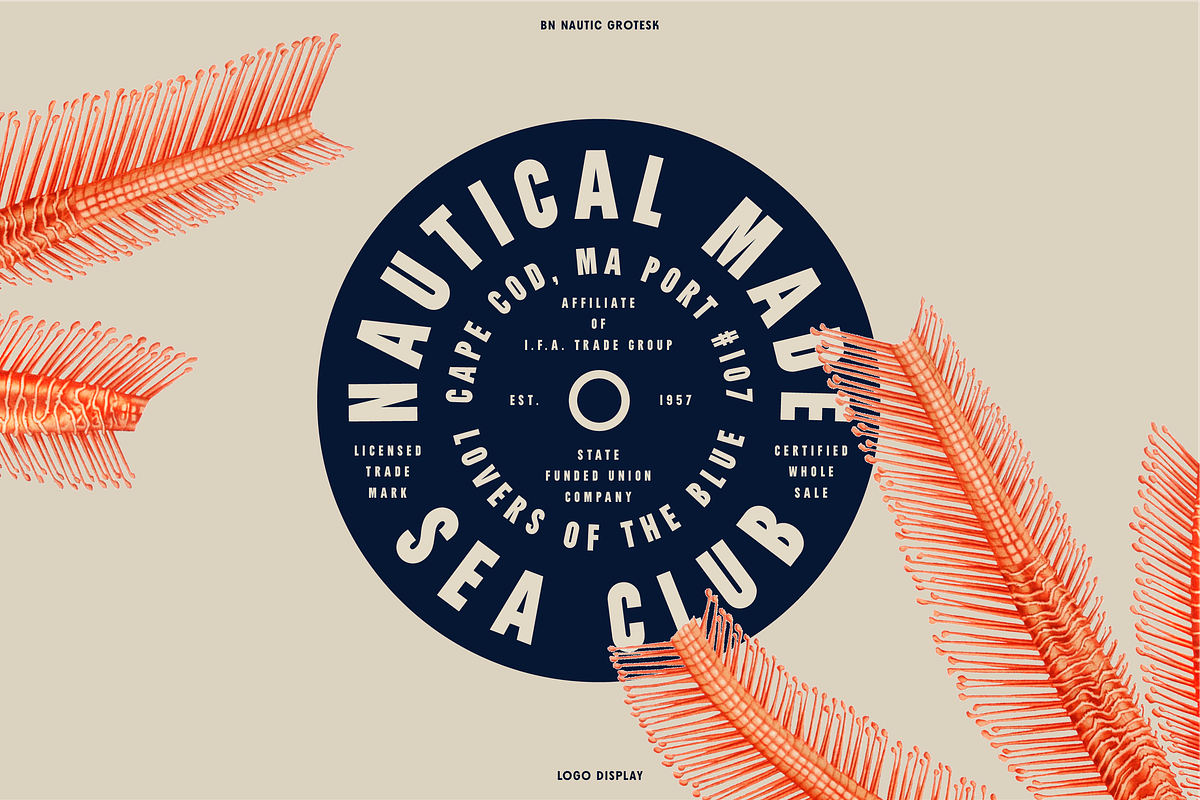 Nautic Grotesk - Modern Display Font, a Sans Serif Font by Bnick (Photo 11 of 12)