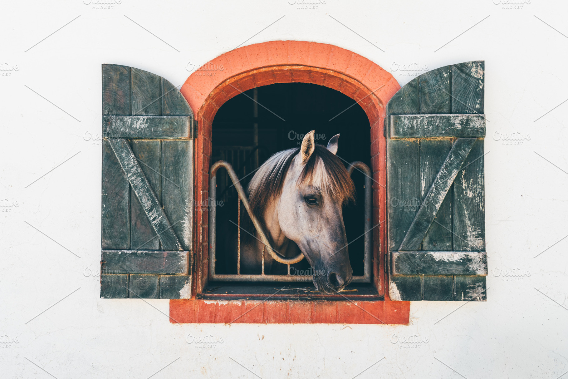 Gray Horse in Rustic Stable, an Animal Photo by SkyNext