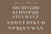 Biglia Modern Bold Condensed Sans, a Sans Serif Font by WhymoreArt (Thumbnail 8 of 10)