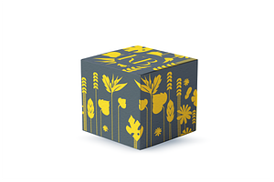 Mockup Square Box