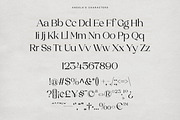 Angela - A Timeless & Elegant Serif, a Serif Font by Annivers Type (Thumbnail 9 of 11)