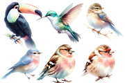 Watercolor Bird clipart, an Illustration by Designworld (Thumbnail 4 of 5)