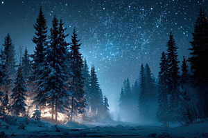 Snowy Forest Night Starry Sky Winter, a Photo by Pixeness Studio