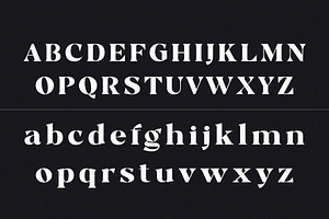 Chayle - Modern Classy Serif