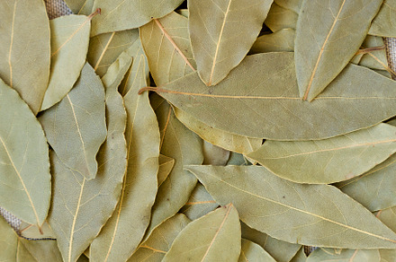 Raw Bay Leaves on cloth, top view. Flat lay, overhead, from abov, a Food & Drink Photo by LiudmylaChuhunova