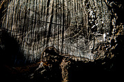 20 High quality wooden texture pack, a Background Graphic by 2MK (Thumbnail 4 of 5)