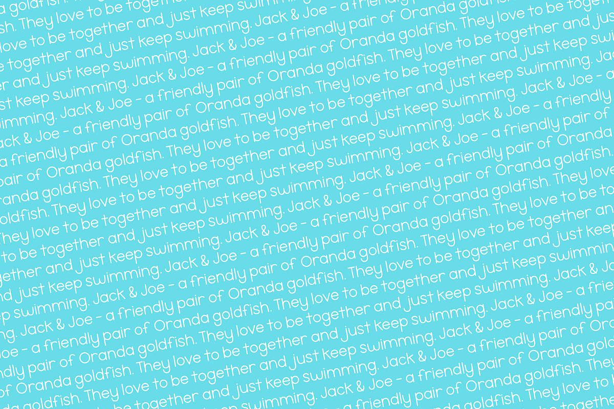 Jack & Joe Font, a Serif Font by Miss Tiina (Photo 3 of 3)
