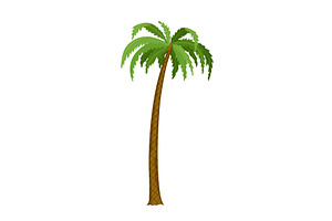 Kind of tree icon, palm, an Object Illustration by Things for designers