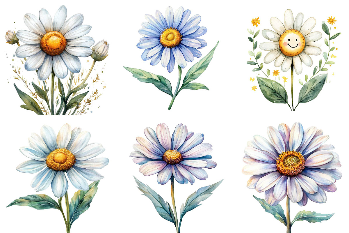 Watercolor Spring Daisy Flower Clipa, an Illustration by DreamPrint404 (Photo 3 of 7)
