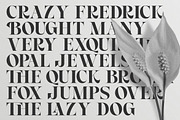 Royal Chapter - Modern Serif, a Serif Font by ErgibiStudio (Thumbnail 10 of 12)