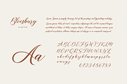 Bloesbury Script, a Script Font by Attract Studio (Thumbnail 10 of 11)