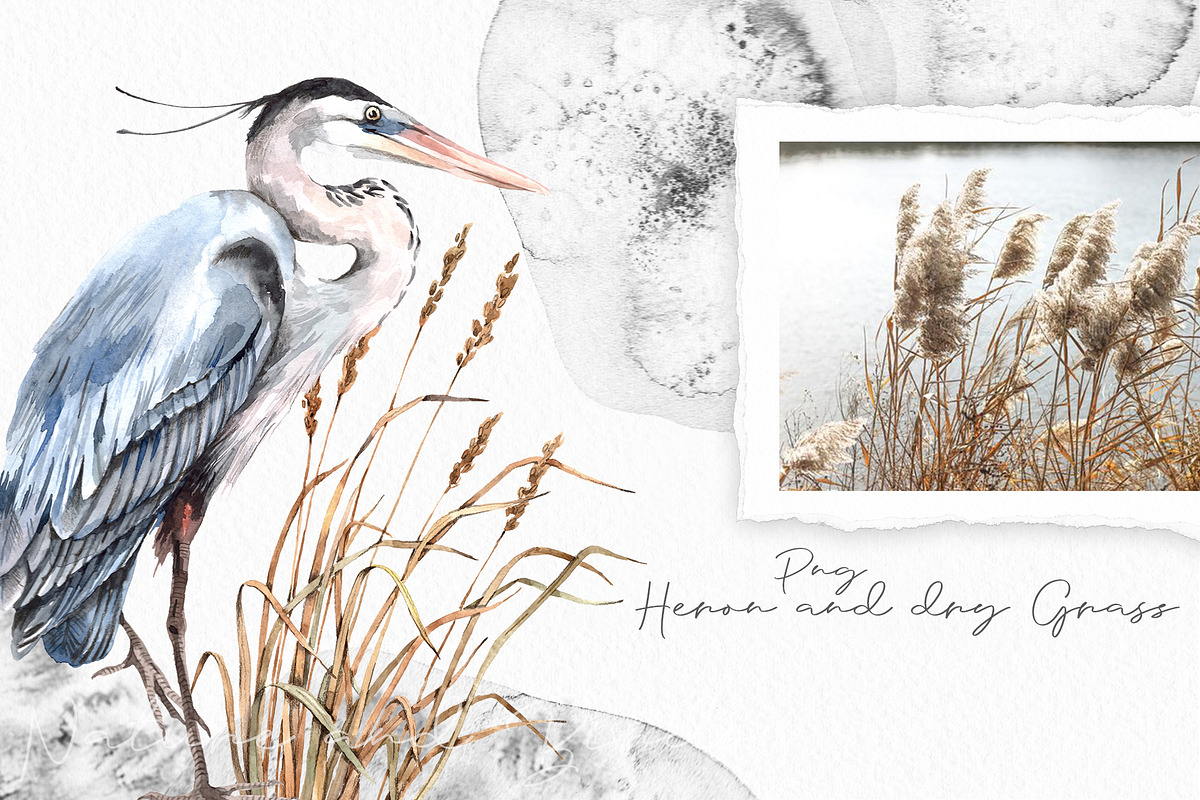 Watercolor Nature and Birds set, an Illustration by Alamella (Photo 4 of 13)