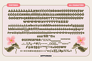 VENTRIKEL - ExtraBold Display Font, a Sans Serif Font by Artflorara (Thumbnail 17 of 19)