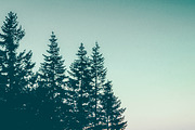Moody Inspired Mobile LR Preset v2, a Preset Add-On by Fltrr Lightroom Presets (Thumbnail 13 of 14)