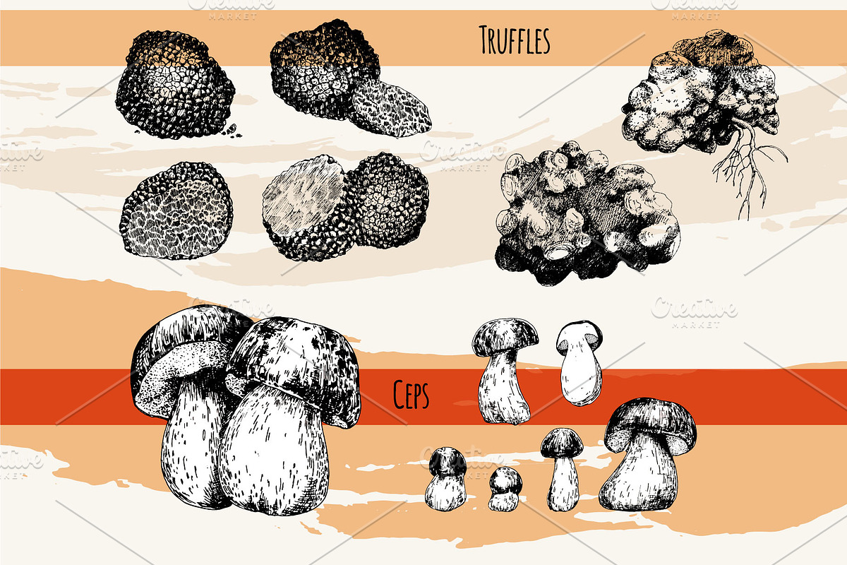 Mushrooms. Big set. 84 objects, a Decorative Illustration by Alena Kaz (Photo 7 of 8)