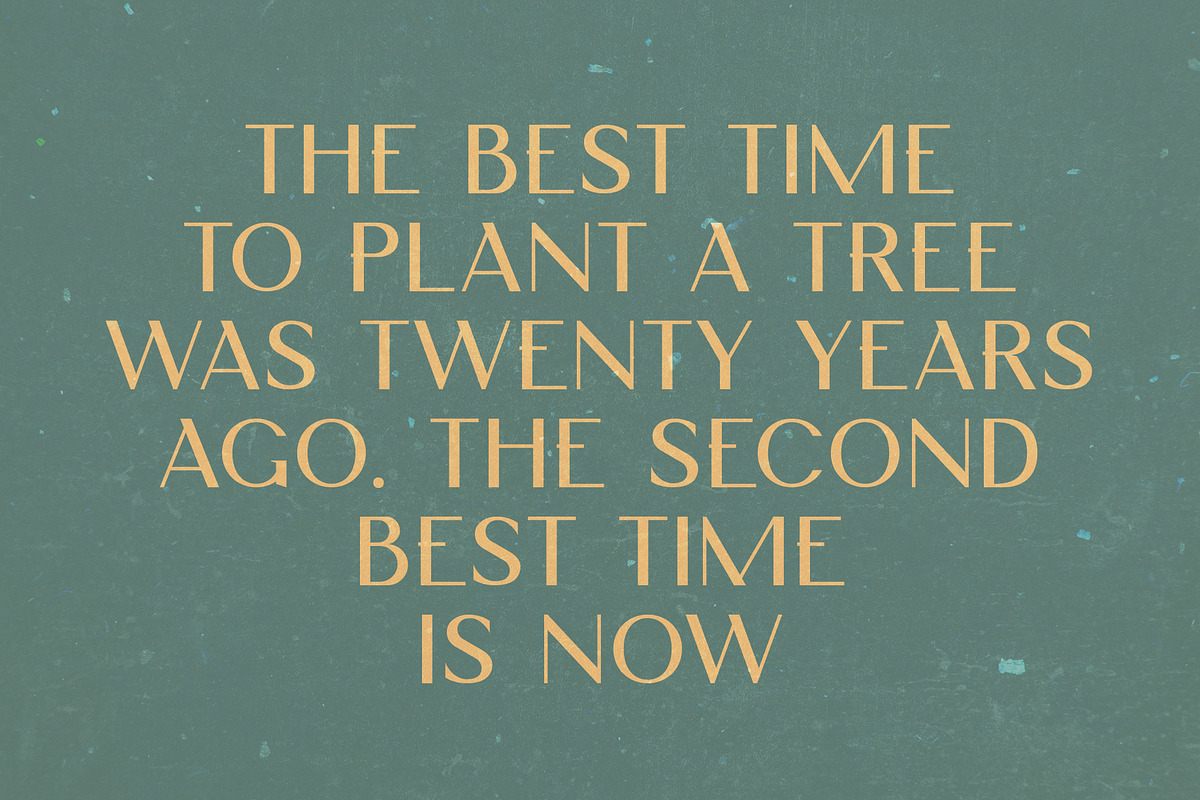 Sheilla Monica - Elegant Display, a Sans Serif Font by Morisco (Photo 7 of 10)