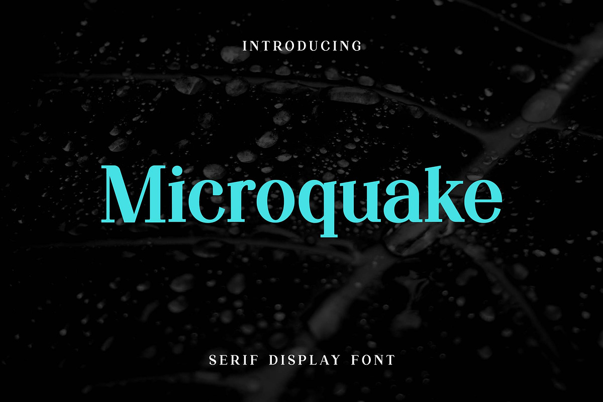 Microquake Serif Display Font, a Serif Font by UICreative (Photo 1 of 13)
