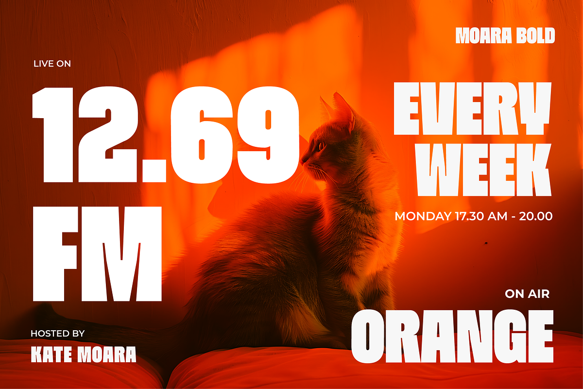Moara - Bold Condensed Font, a Sans Serif Font by limitype (Photo 5 of 13)