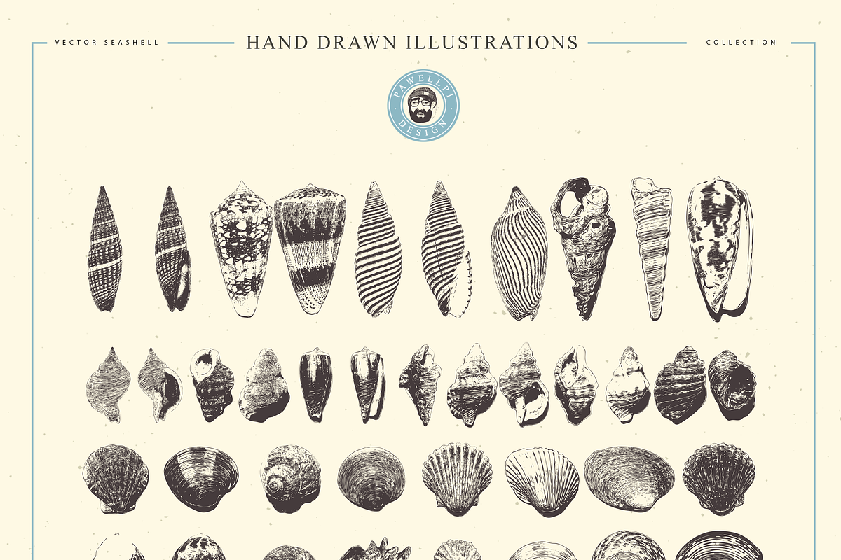 VECTOR SEASHELL HAND DRAWN BUNDLE 22, an Illustration by pawellpi (Photo 10 of 10)