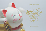 Lovina Fonts Family, a Script Font by alit design (Thumbnail 12 of 12)
