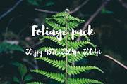 Foliage pack, a Templates & Theme by ApertureVintage (Thumbnail 17 of 21)
