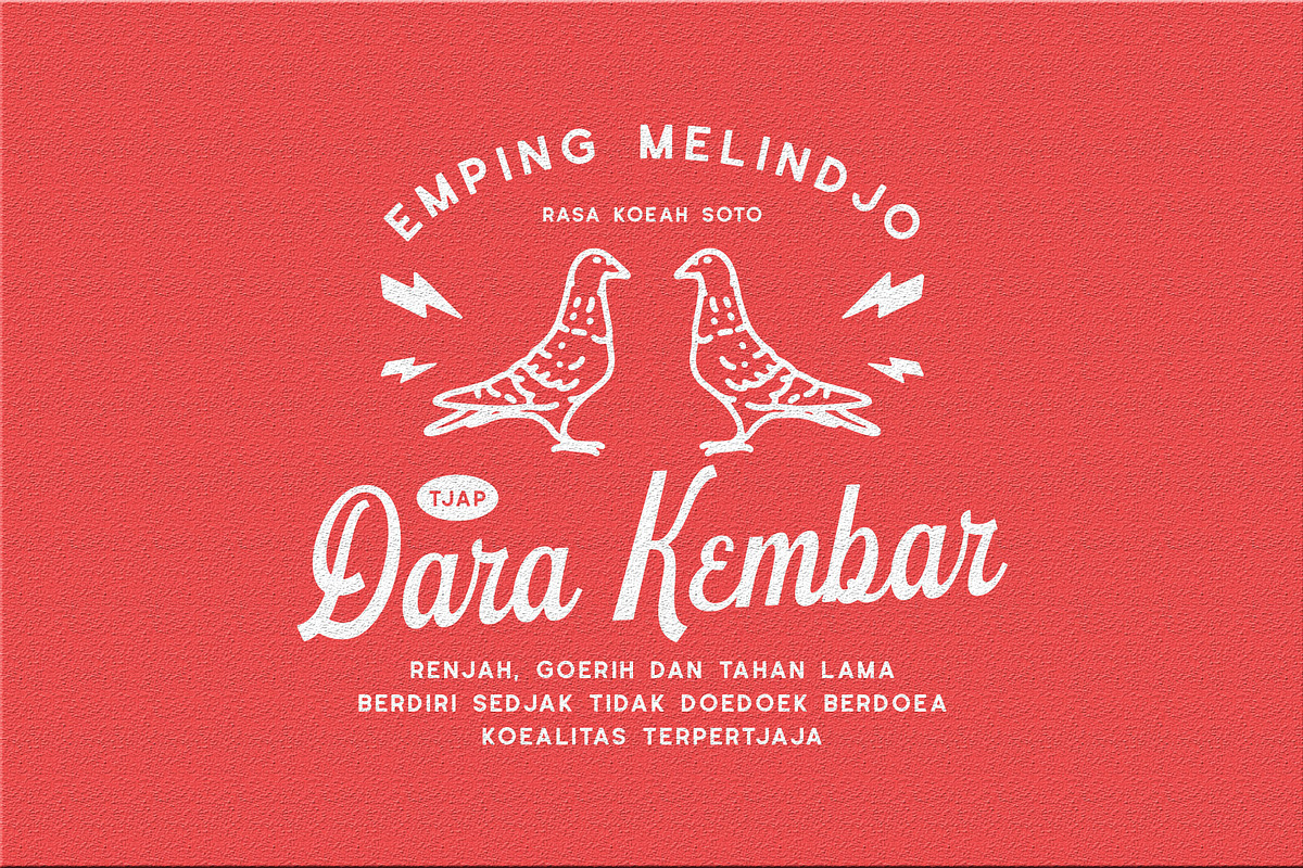 Schramberg Font Duo + Logo Template preview 6